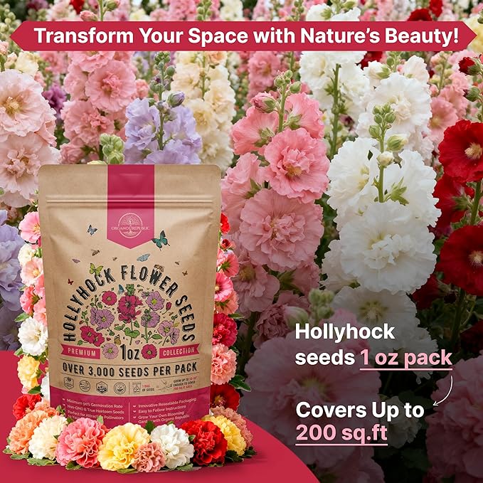 Hollyhock Flower Seeds Pack 1 oz - Over 3,000 Non-GMO Heirloom Hollyhock Seeds for Planting Indoor & Outdoor Gardening, Flower Seed for Home and Garden in Individual Packet, Floral Perennial Mix