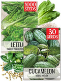 Seed Needs Vegetable Seeds for Planting Cucamelon & Romaine Lettuce - Non-GMO Heirloom & Untreated Veggie Seed to Plant an Outdoor Vegetable Garden (2 Packs)