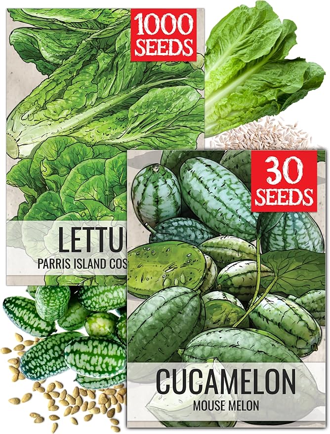 Seed Needs Vegetable Seeds for Planting Cucamelon & Romaine Lettuce - Non-GMO Heirloom & Untreated Veggie Seed to Plant an Outdoor Vegetable Garden (2 Packs)