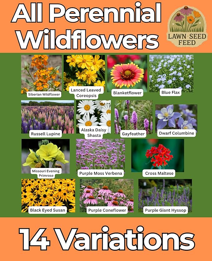 All Perennial Wildflower Seed Mix (2oz) Long-Blooming Flowers for Pollinators, Hardy Perennials for Gardens, Meadows & Landscapes