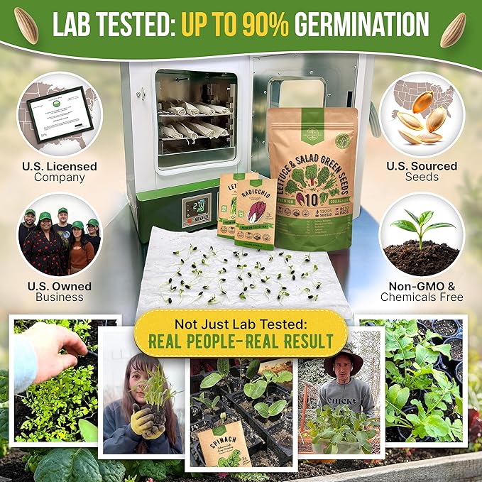 Organo Republic 10 Lettuce & Salad Greens Seeds Variety Pack 13000+ Non-GMO Heirloom Lettuce Seeds for Planting Indoors & Outdoors Garden, Hydroponics - Arugula, Radicchio, Kale, Spinach, Swiss Chard