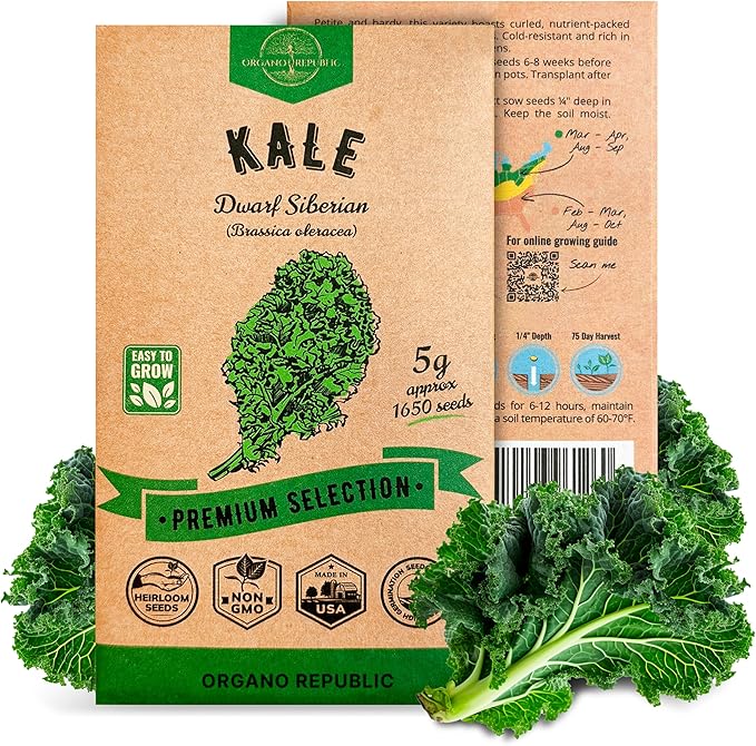 Organo Republic Kale Dwarf Siberian Seeds Pack 5 G - Over 1,650 Non-GMO Heirloom Kale Seeds for Planting Greens in Individual Seed Packet, Greens Seeds for Planting Home Garden Indoor & Outdoor
