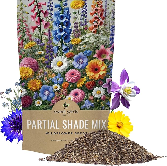 Bulk Wildflower Seeds Partial Shade Mix - 1/4 Pound Bag Over 30,000 Open Pollinated Annual and Perennial Seeds