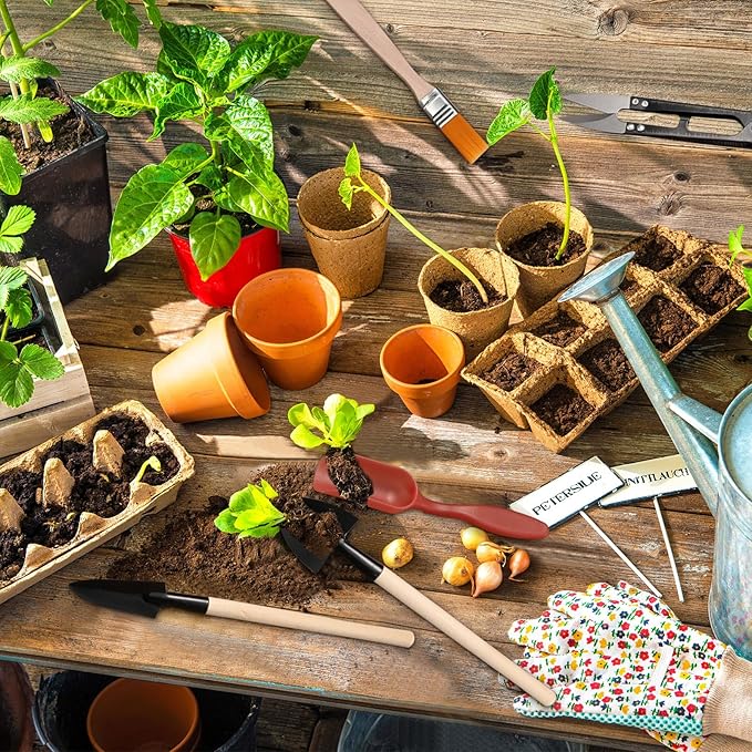 13 Pieces Bonsai Tools Set Succulent Mini Garden Hand Tools Includes Pruning Shears, Mini Rake, Fold Scissors, Bud and Leaf Trimmer for Small Fairyland Gardening Plant