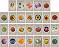 Flower Seed Set - Flower Varieties of Non-GMO & Heirloom Premium Seeds for Planting - Sunflower, Marigold, Lavender, and More! (26, Set 1)
