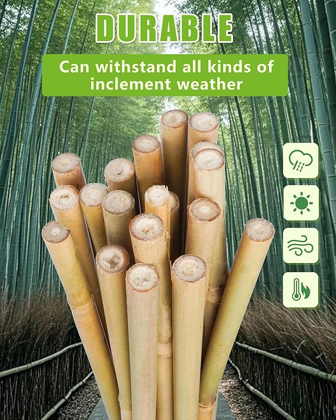3ft Natural Bamboo Plant Stakes for Tomatoes, Beans, Flowers, Potted, Climbing Plants 30pcs