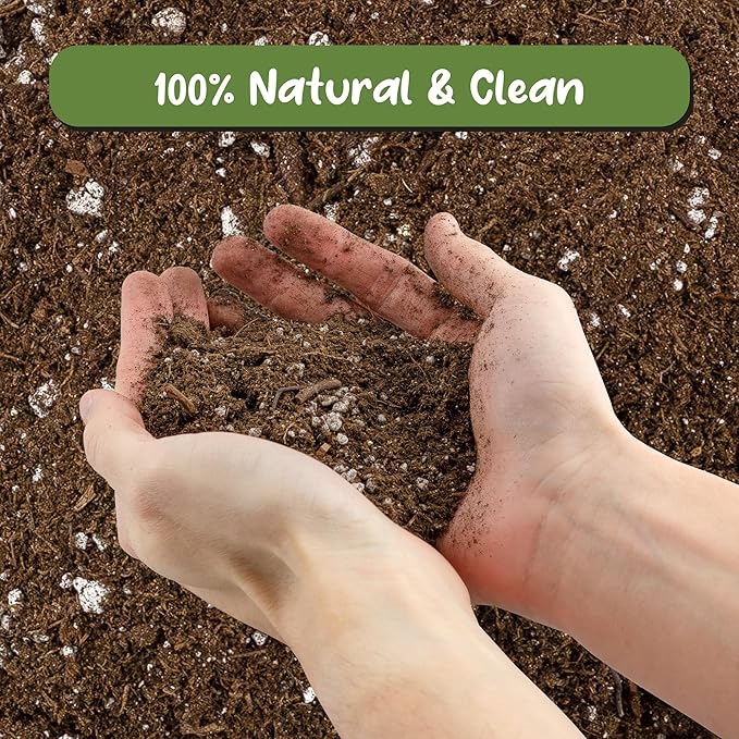 Soil Sunrise Avocado Tree Potting Soil Mix (12 Quarts) for Germinating, Growing and Repotting Avocado Plants