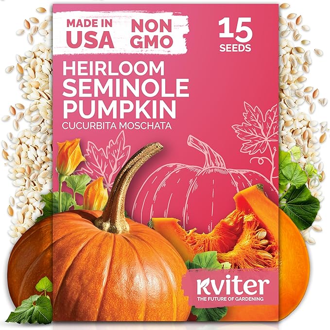 KVITER 15 Seminole Pumpkin Seeds for Planting (Cucurbita Moschata) - Heirloom Pumpkin Seeds Organic for Indoor & Outdoor Planting, Non-GMO Mini Pumpkins Vegetable Seeds for Planting