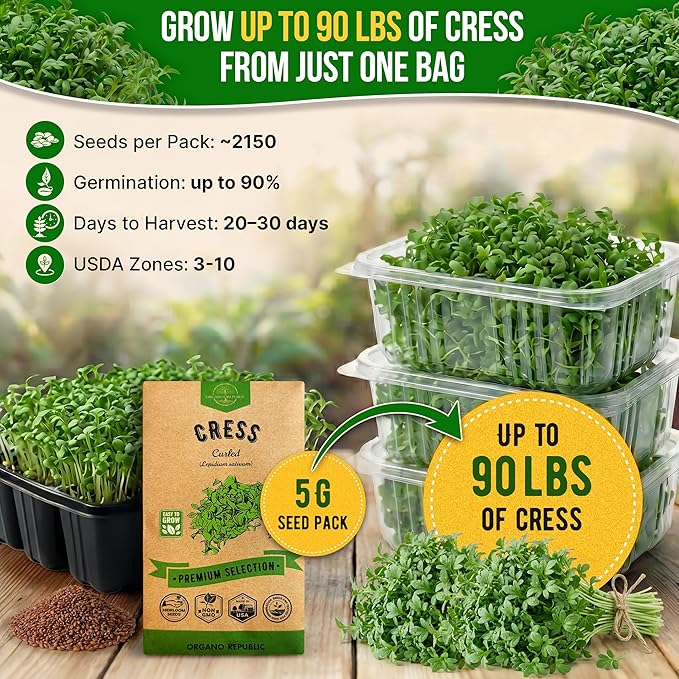 Organo Republic Curled Cress Seeds Pack 5G - Over 2,150 Non-GMO Heirloom Cress Seeds for Planting Greens in Individual Seed Packet, Greens Seeds for Planting Home Garden Indoor & Outdoor Gardening