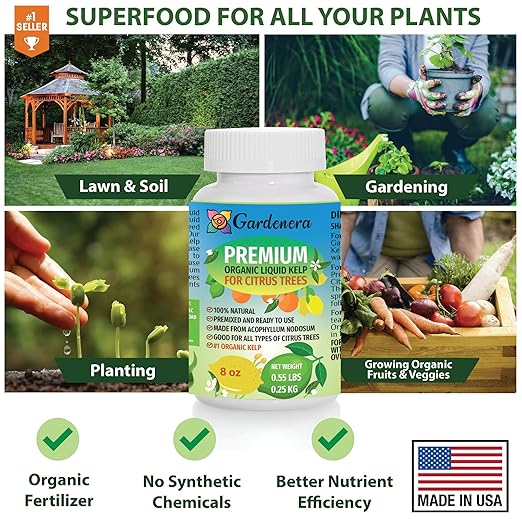 Citrus Tree Specific Organic Liquid Kelp Fertilizer by Gardenera - 32 oz - Maximize Citruses Growth and Fruit Development Naturally