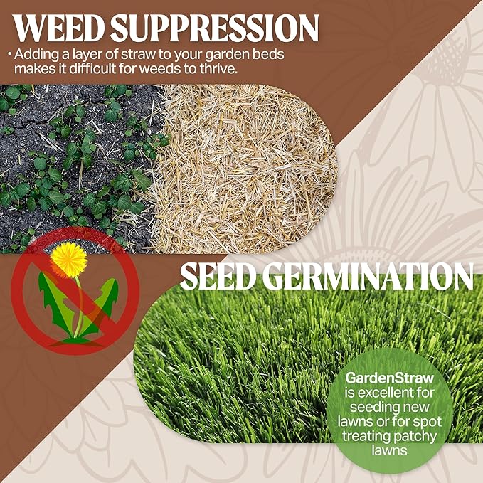 GardenStraw, 3 cu ft (20 lbs) Pack of 4 – All-Natural Mulch for Gardens, Vegetables & Lawn Seeding – Water-Conserving Wheat Straw – Thoroughly Cleaned, Sustainable