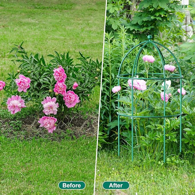 DoCred 3 Pack Plant Support Cage Large Peony Cages and Supports Peony Cage Obelisk Trellis for Climbing Plants Tomato Cages Plant Supports for Outdoor Plants Garden Decor, Green