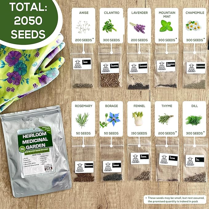 10 Medicinal Herb Seeds - Heirloom, Non GMO, USA Made - 2050 Most Needed Herbal and Medical Tea Seeds Pack for Planting Indoors and Outdoors - Lavender, Mountain Mint, Chamomile & More