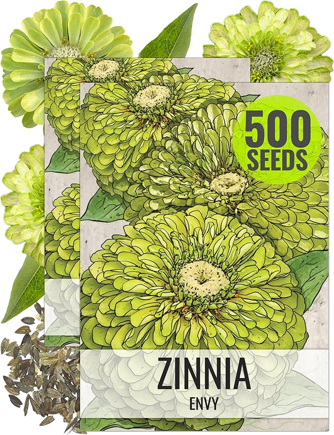 Seed Needs Lime Green Envy Zinnia Seeds for Planting - Heirloom & Open Pollinated Annual Cut Flowers - Grow a Butterfly Garden to Attract Pollinators (2 Packs)
