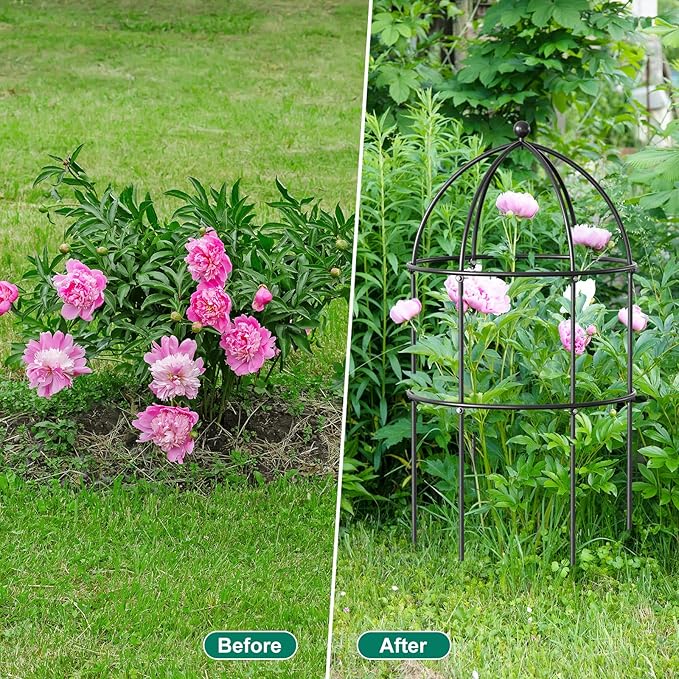 DoCred 6 Pack Plant Support Cage Large Peony Cages and Supports Peony Cage Obelisk Trellis for Climbing Plants Tomato Cages Plant Supports for Outdoor Plants Garden Decor, Black