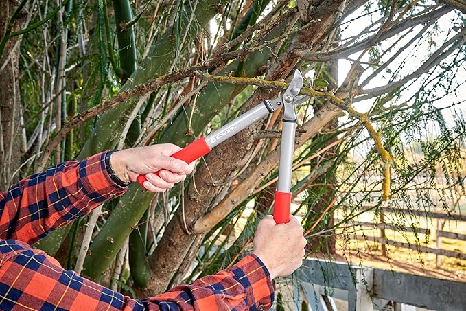 Corona BP 3225D Forged Steel ClassicCUT Bypass Hand Pruner - 3/4 inch Cut Capacity Stem and Branch Garden Shears, Red