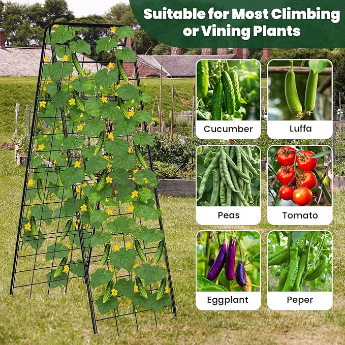 A-Frame Cucumber Trellis for Raised Bed, 50"x 16" Adjustable Heavy Duty Metal Garden Trellis for Climbing Plants Outdoor, Plant Support for Tomatoes Pea Bean Grape Vining Vegetables (1 Pack)