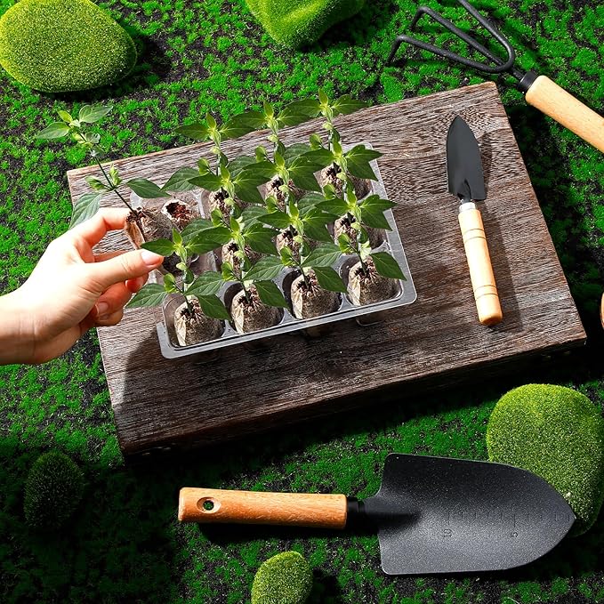 6 Pack Seed Starter Tray with 72 Pcs Peat Pellets, Seeding Starter Kit (72 Cells Total Tray) with Humidity Dome, Soil Plant Germination Tray Kit for Flower Vegetable(Black)