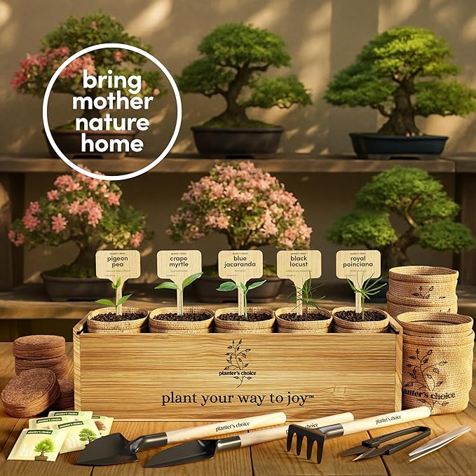 Planter's Choice Bonsai Tree Starter Kit - Unique Easter Gifts for Women, Men - Birthday Gifts for Adults - Indoor Live House Plants - DIY for Adults Craft Kits - Hobby Gift for Gardening Lovers
