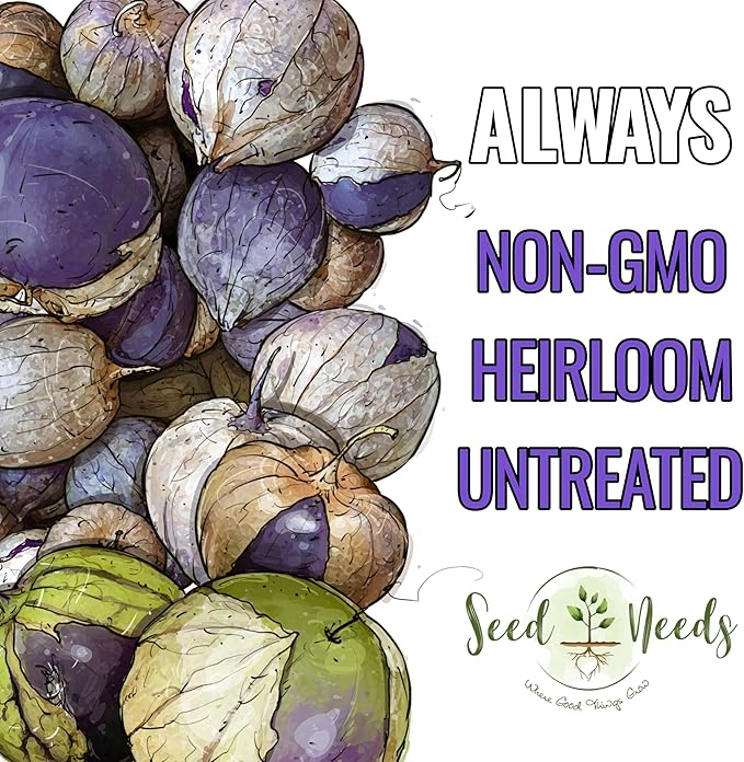 Seed Needs Tomatillo Seeds for Planting Purple Tomatillos - Non-GMO Heirloom & Untreated Annual Veggie Seed to Plant a Home Grown Vegetable Garden Outdoors (1 Pack)