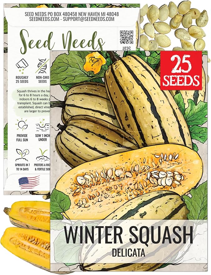 Seed Needs, Delicata Squash Seeds - 25 Heirloom Seeds for Planting Cucurbita Pepo - Winter Squash to Plant an Outdoor Garden, Non-GMO & Untreated (1 Pack)