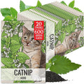 Seed Needs Catnip Seeds for Planting Nepeta cataria - Non-GMO Heirloom & Untreated Herb Seed to Plant & Grow an Outdoor Home Grown Garden (20 Packs)