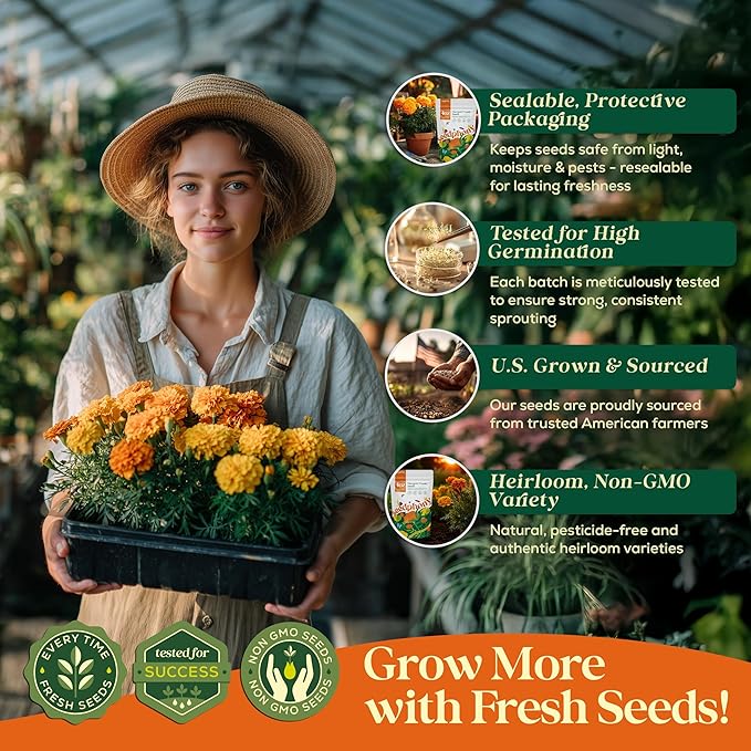 Marigold Seeds Pack 4 oz - 37,000 Non-GMO Heirloom Marigold Seeds for Planting, Perennial Flowers in Waterproof Seed Packet, Wildflower Seeds for Planting Garden Indoor & Outdoor Gardening