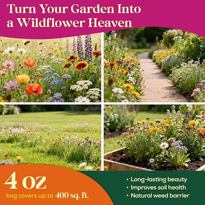 Seedphony 21 Annual Wildflower Mix 4 oz - 100,000 Non-GMO Heirloom Wildflower Seeds for Planting Garden, Wild Flowers in Waterproof Seed Packet, Wild Flowers to Attract Bees, Butterflies & Birds