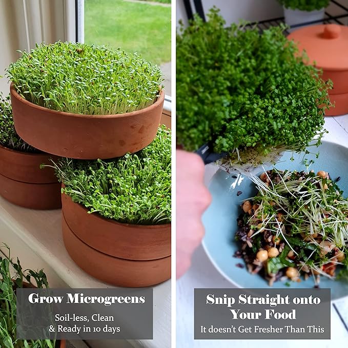 Clay Sprouter Kit | Terracotta Tower with 3 Shallow Germinating Trays, Paper Discs & Free E-Book | 2 in 1 Sprouting Trays Ideal for Germinating Sprouts and Microgreens