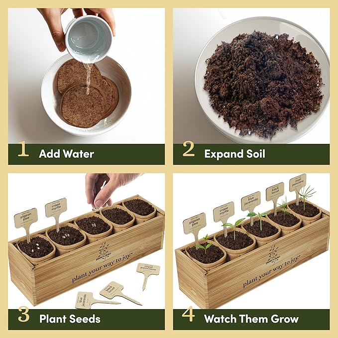Planter's Choice Bonsai Tree Starter Kit - Unique Easter Gifts for Women, Men - Birthday Gifts for Adults - Indoor Live House Plants - DIY for Adults Craft Kits - Hobby Gift for Gardening Lovers
