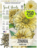 Seed Needs, Yellow Isabellina Zinnia Seeds - 250 Heirloom Seeds for Planting Zinnia elegans - Annual Cut Flowers to Grow in a Butterfly Garden Outdoors (1 Pack)