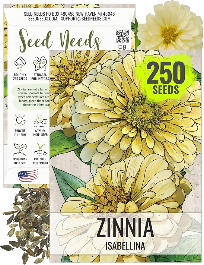 Seed Needs, Yellow Isabellina Zinnia Seeds - 250 Heirloom Seeds for Planting Zinnia elegans - Annual Cut Flowers to Grow in a Butterfly Garden Outdoors (1 Pack)