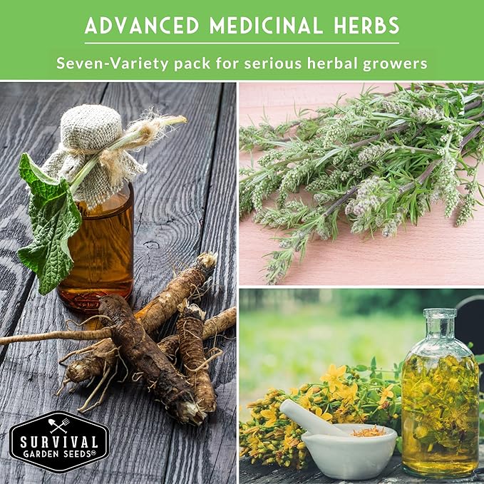 Advanced Medicinal Herb Seeds Collection - Variety Pack for Planting with Plantain, Joe-Pye Weed, St John’s Wort, Valerian, Mugwort - Heirloom Apothecary Herbalist Seed Bundle - Survival Garden Seeds