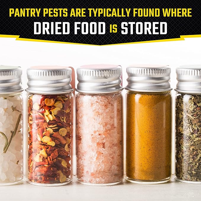 Black Flag Pantry Pest Trap 2 Count, Insect Traps, Safe For Use In Kitchens And Pantries, 12 Pack