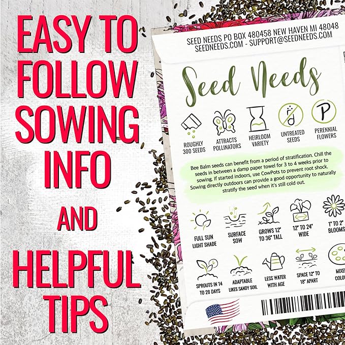 Seed Needs Panorama Mixed Bee Balm Seeds for Planting - Heirloom & Open Pollinated Perennial - Mixture of Colorful Flowers to Grow a Butterfly Garden (2 Packs)
