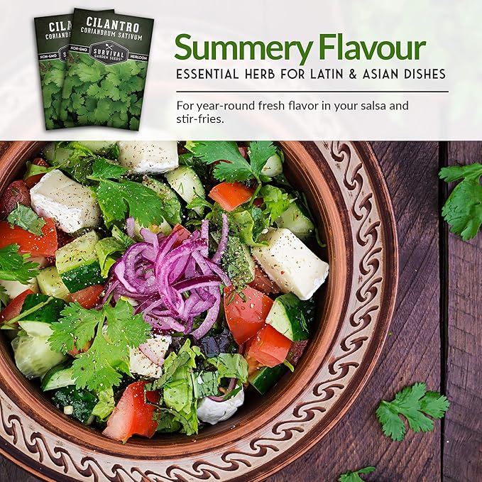 Cilantro Seeds for Planting | Heirloom Non-GMO Coriander Herb | Indoor & Outdoor Garden Growing | Fast Growing, Reliable Harvest – Survival Garden Seeds (5 Packs)