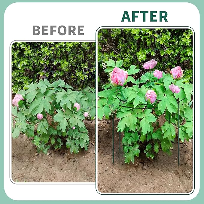 4 Sets Peony Support Cage,14"Diax32"High Heavy Duty Metal Plant Support,Grow Through Hoops Grids with 4 Thickened 5mm Legs,Strong Support Brace for Heavy Blossoms,Flower Support Ring for Peonies,Rose
