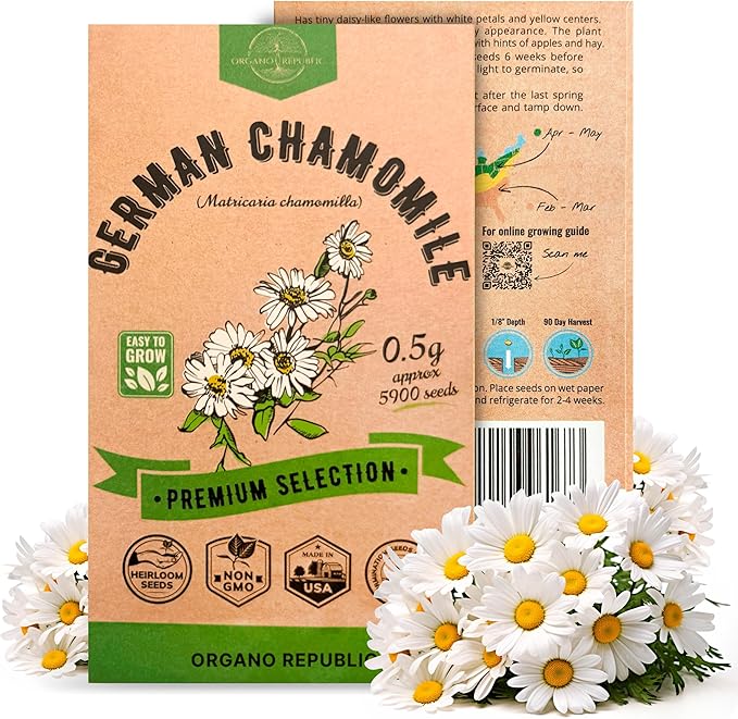 Organo Republic German Chamomile Seeds Pack 0.5 G - Over 5,900 Non-GMO Heirloom Chamomile Seeds for Planting Herbs in Individual Seed Packet, Herbs Seeds for Planting Home Indoor & Outdoor Gardening