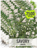 Seed Needs Winter Savory Seeds for Planting - Non-GMO Heirloom & Untreated Perennial Herb Seed to Plant a Culinary Kitchen Garden Indoors or Outdoors (5 Packs)