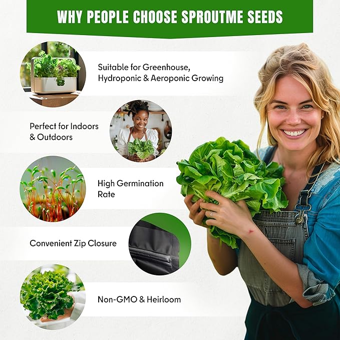 Kale Blue Curled Seeds for Planting – 500+ Non-GMO Heirloom Blue Curly Kale, Cold Hardy Leafy Green for Spring & Fall Growing, High Germination (Brassica oleracea)