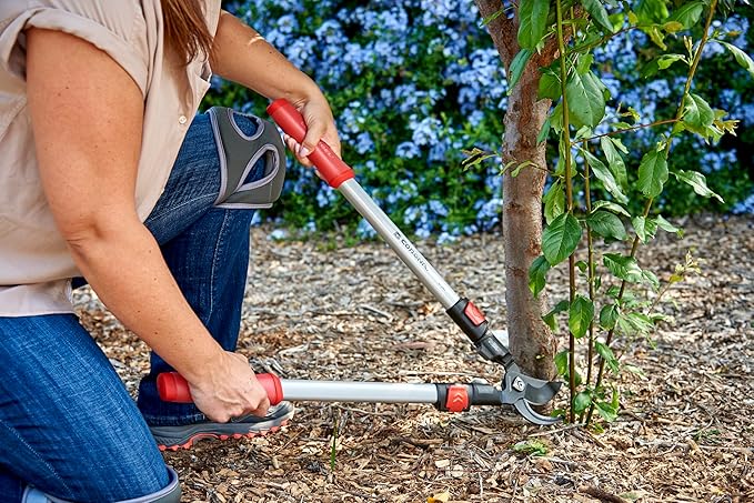 Corona SL 3364 ComfortGEL Extendable Bypass Lopper, 1-1/2 Inch Cut