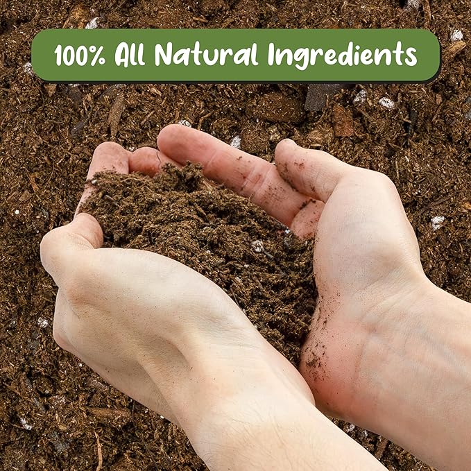 Soil Sunrise Anthurium Plant Potting Soil Mix (4 Quarts) Indoor Houseplant Custom Blend for Flowering Anthuriums