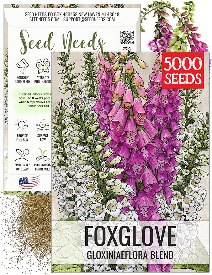 Seed Needs Foxglove Seeds for Planting Gloxiniaeflora Mix Fox Glove - Heirloom & Open Pollinated Flowers to Plant an Outdoor Butterfly Garden with Colorful Wildflowers (1 Pack)