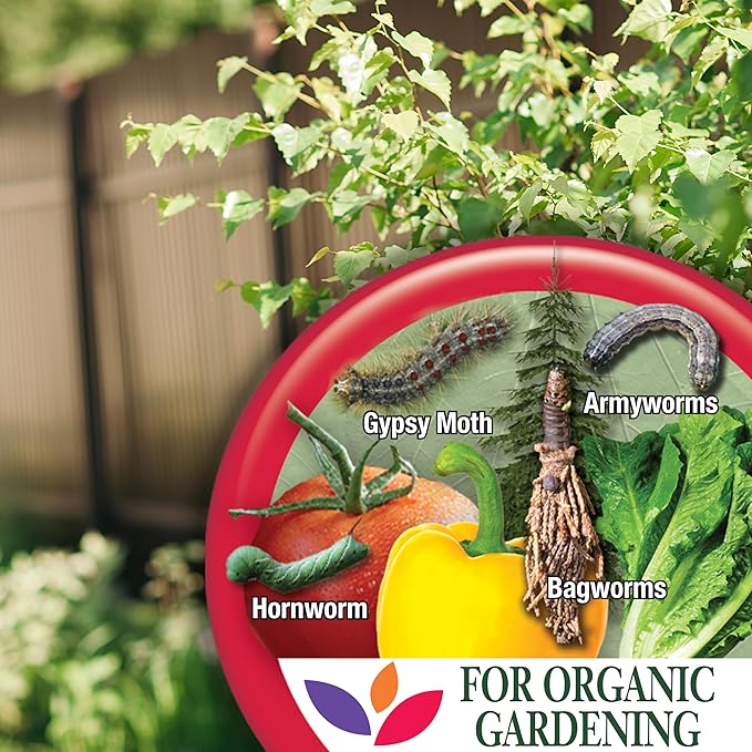 Bonide 8066 Captain Jack's Bacillus Thuringiensis BT Organic Worm & Caterpillar Control, 32 oz. Ready-to-Us - Quantity 1
