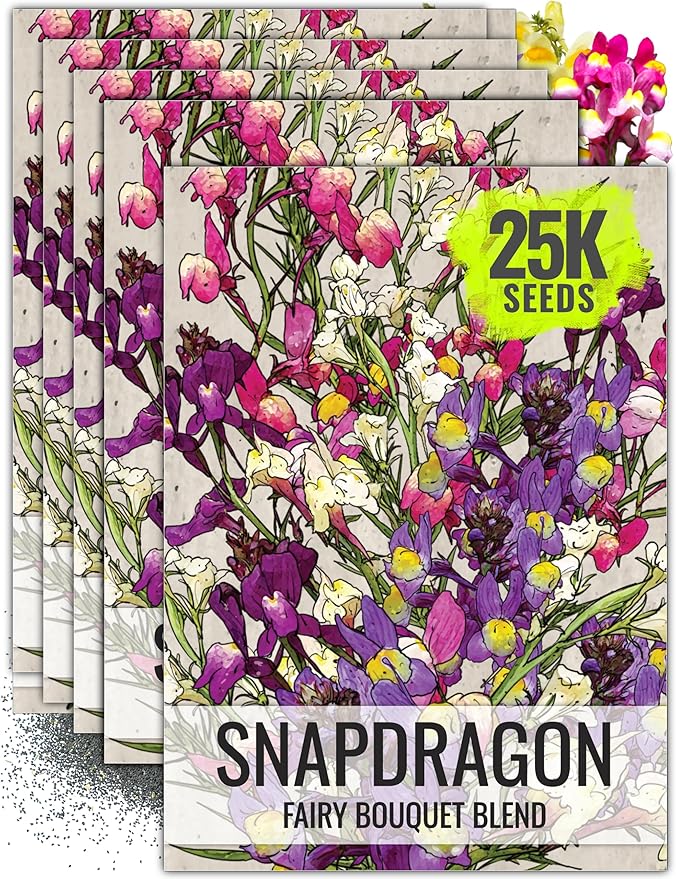 Seed Needs Snapdragon Seeds for Planting Fairy Bouquet Linaria maroccana Flowers - Heirloom & Open Pollinated Wildflower Seed to Plant a Butterfly Garden with Low Growing Flowers
