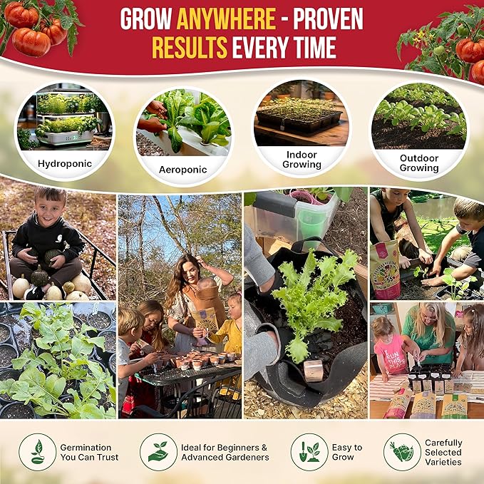 Red Beefsteak Tomato Seeds Pack 0.5 G - Over 250 Non-GMO Heirloom Tomato Seeds for Planting Vegetables in Individual Seed Packet, Vegetable Seeds for Planting Home Garden Indoor & Outdoor Gardening