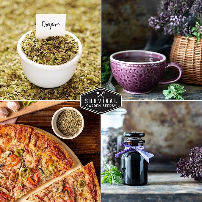 Oregano Seeds for Planting - Origanum Vulgare Culinary Herb for Italian Dishes - Grow Indoors or Outdoors for Fresh Flavor and Pollinators - Heirloom, Non-GMO - Survival Garden Seeds (1 Pack)