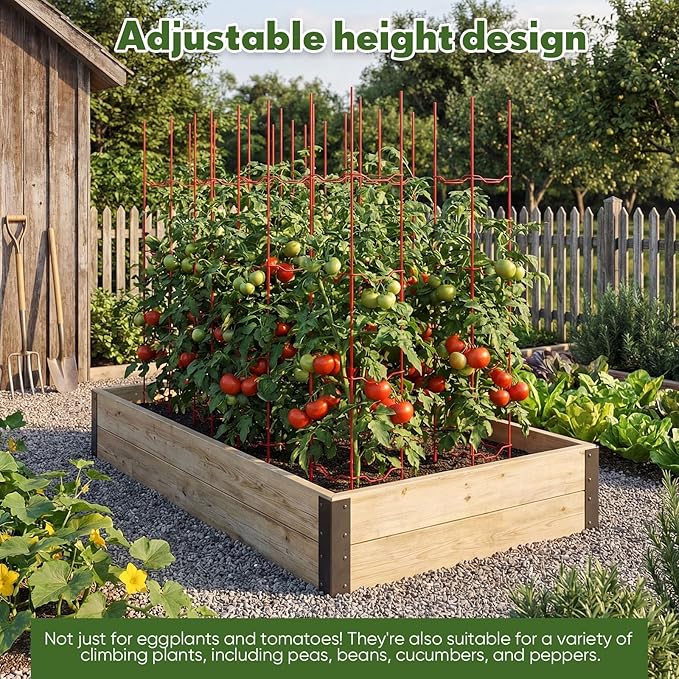 6 Pack Tomato Cage for Garden, 6" W x 6" D x 32" H Pepper and Eggplant Garden Stakes Metal Plant Support Sturdy V-Shape Trellis for Climbing Plants Vegetables Flowers Fruits