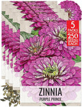 Seed Needs Zinnia Seeds for Planting Purple Prince Zinnias - Heirloom & Open Pollinated Wildflower Seed to Plant a Butterfly Garden - Great for Cut Flowers (5 Packs)
