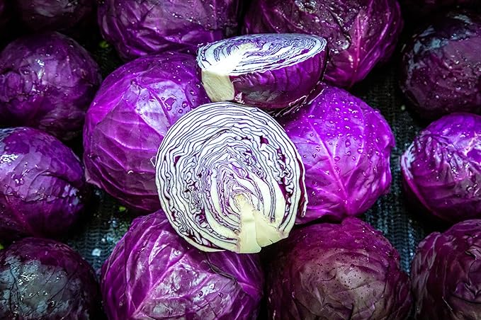 Red Acre Cabbage Seeds for Planting – Plant & Grow Heirloom Red Acre Cabbage in Home Outdoor Vegetable Garden, Brassica oleracea VAR. capitata– 3 Packets